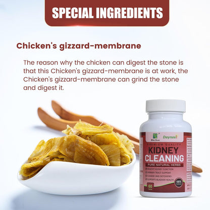 Herbes Naturelles pour Soutenir la Santé des Reins